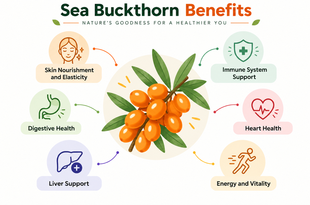 Sea Buckthorn Benefits