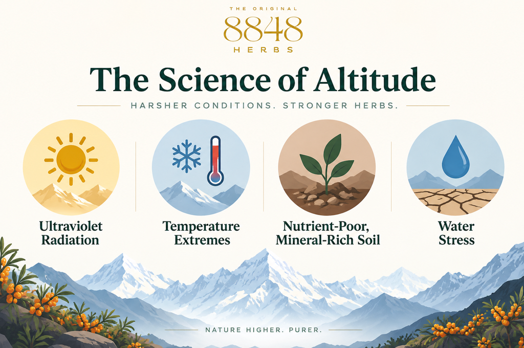 The Science of Altitude