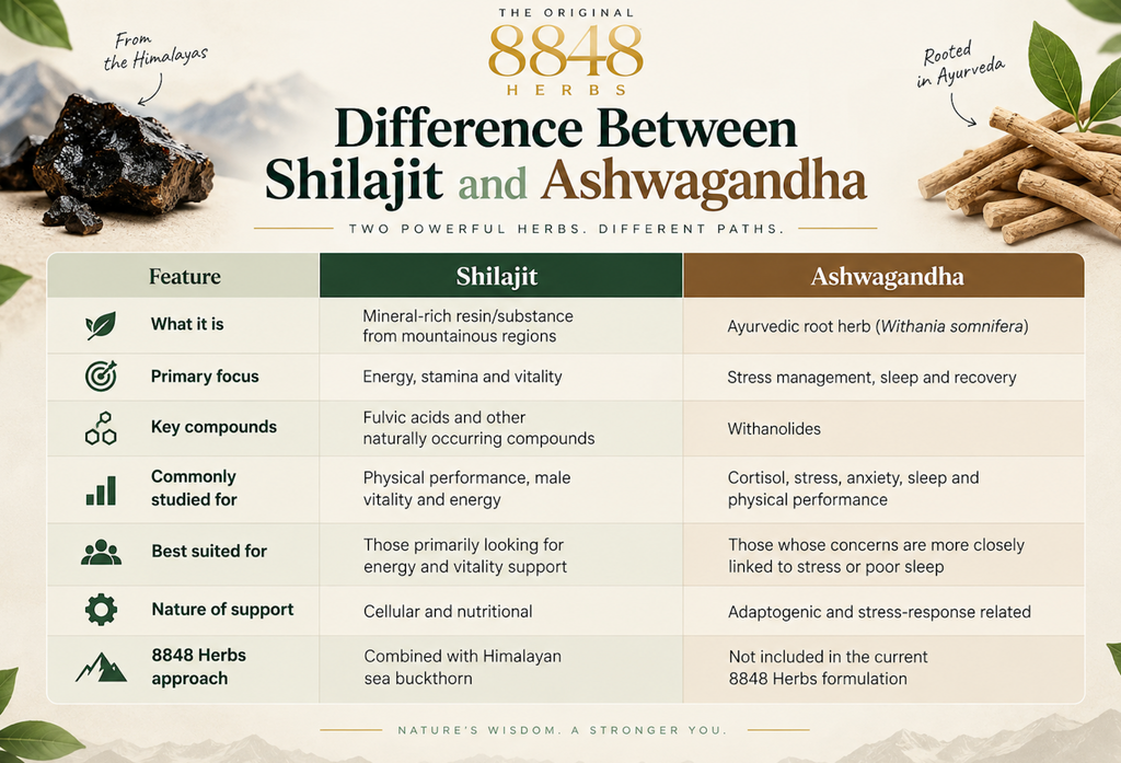 Alt tag - Shilajit vs Ashwagandha