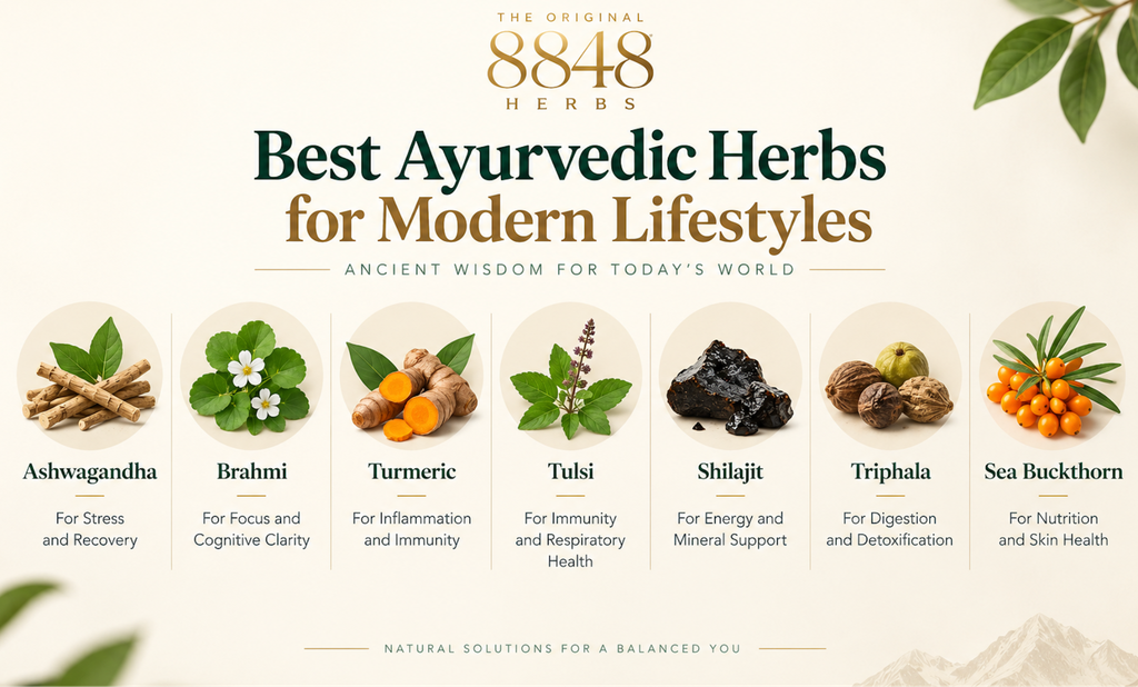 Best Ayurvedic Herbs for Modern Lifestyles