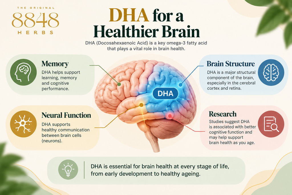 DHA and the Brain