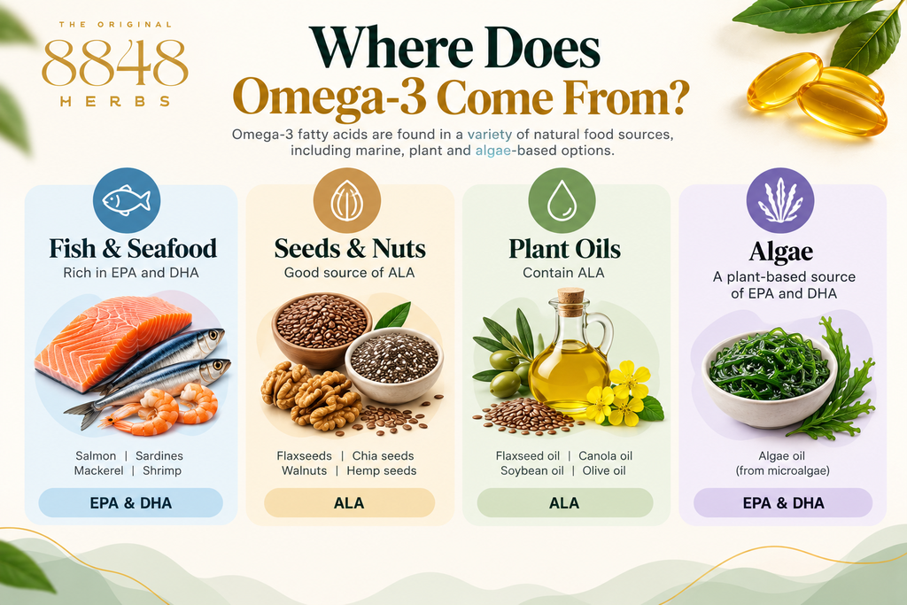 where does omega 3 comes from